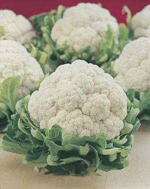 Cauliflower - All year Round