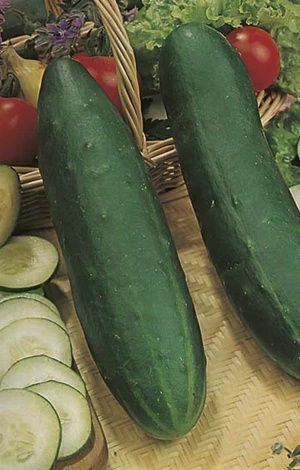 Cucumber - Long Green Supermarket