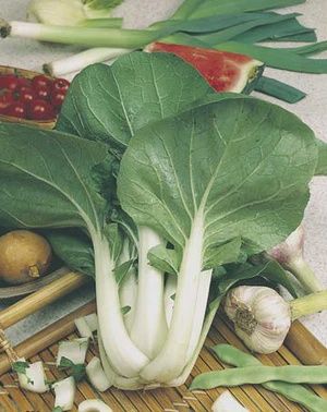 Pak Choi