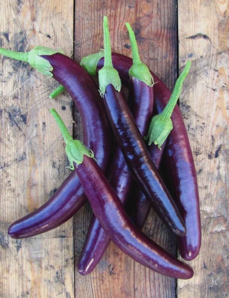 Eggplant - Long Purple