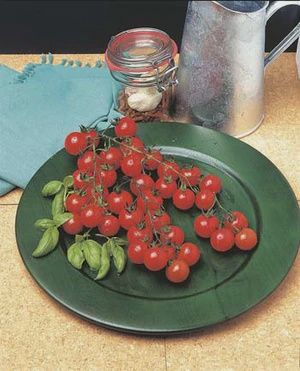 Tomato - Sweet 100