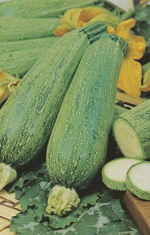 Zucchini - Lebanese
