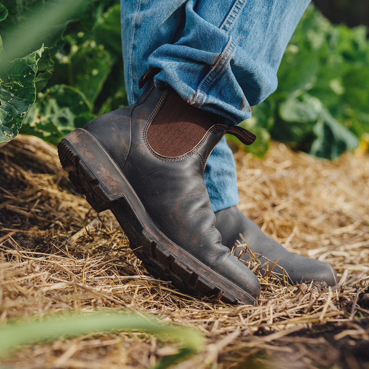 Blundstone Boot 600 Oil Kip Brown
