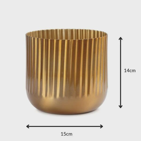 Indoor Metal Planter- Kutta 20cm Brass Finish