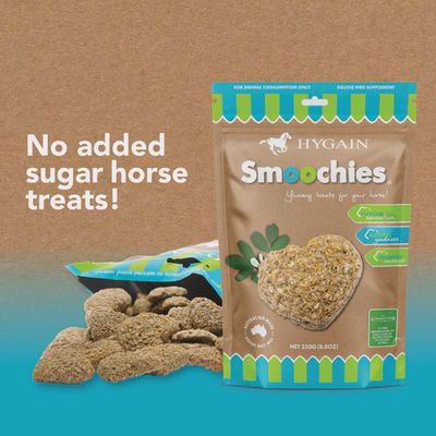 Smoochies 250g HYGAIN