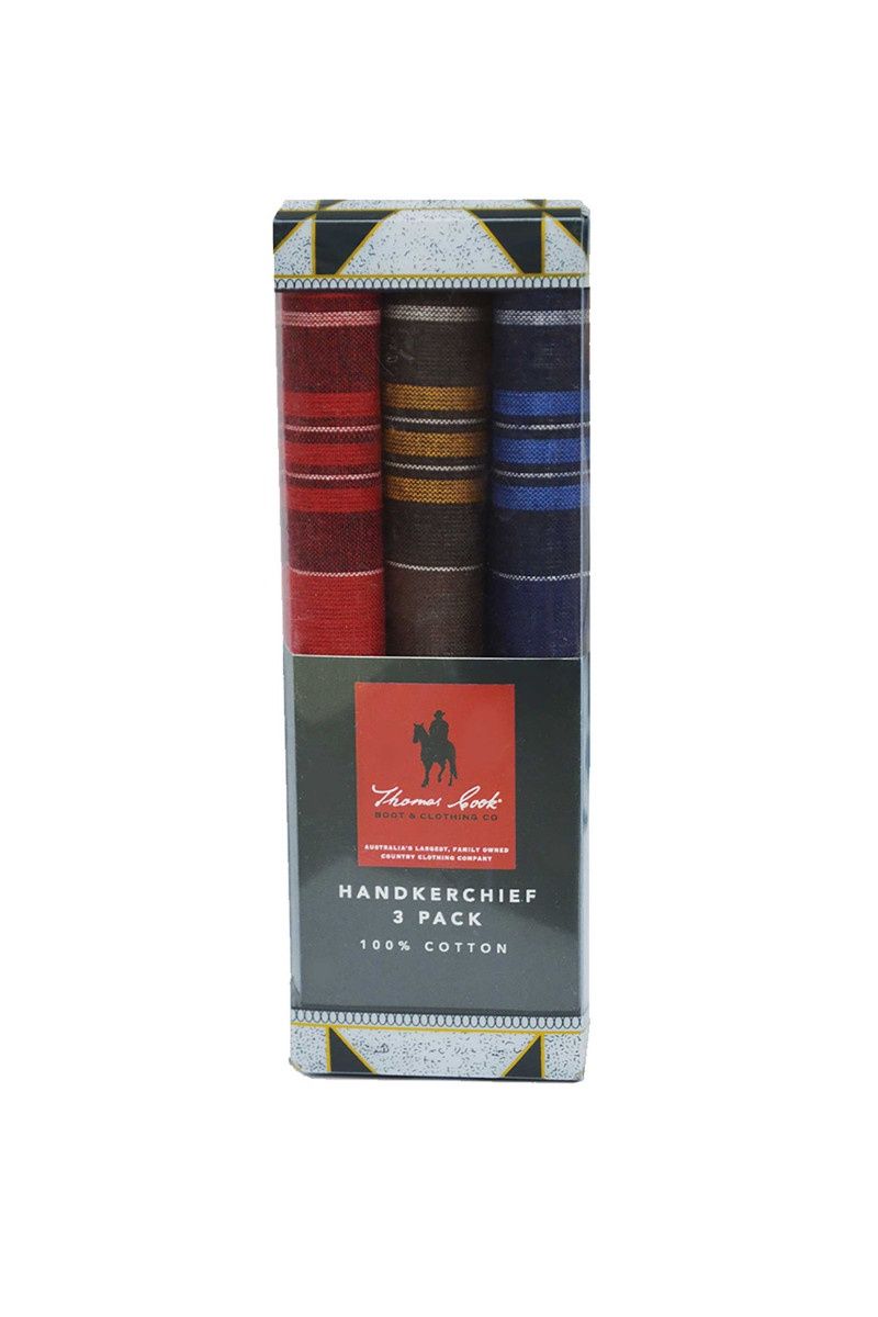 HANDKERCHIEF 3 PACK MULTI COLOUR