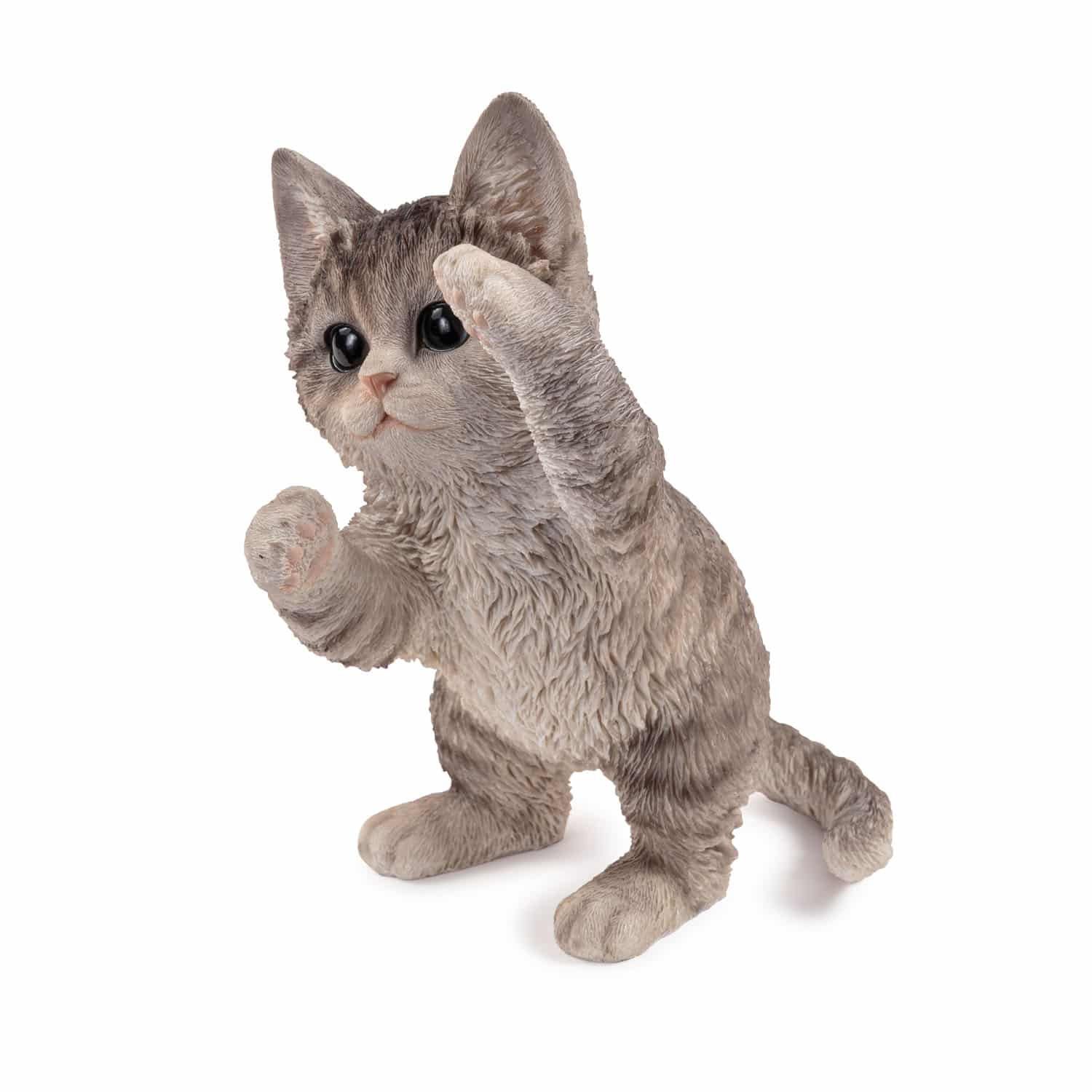 Playful Kitten – Grey