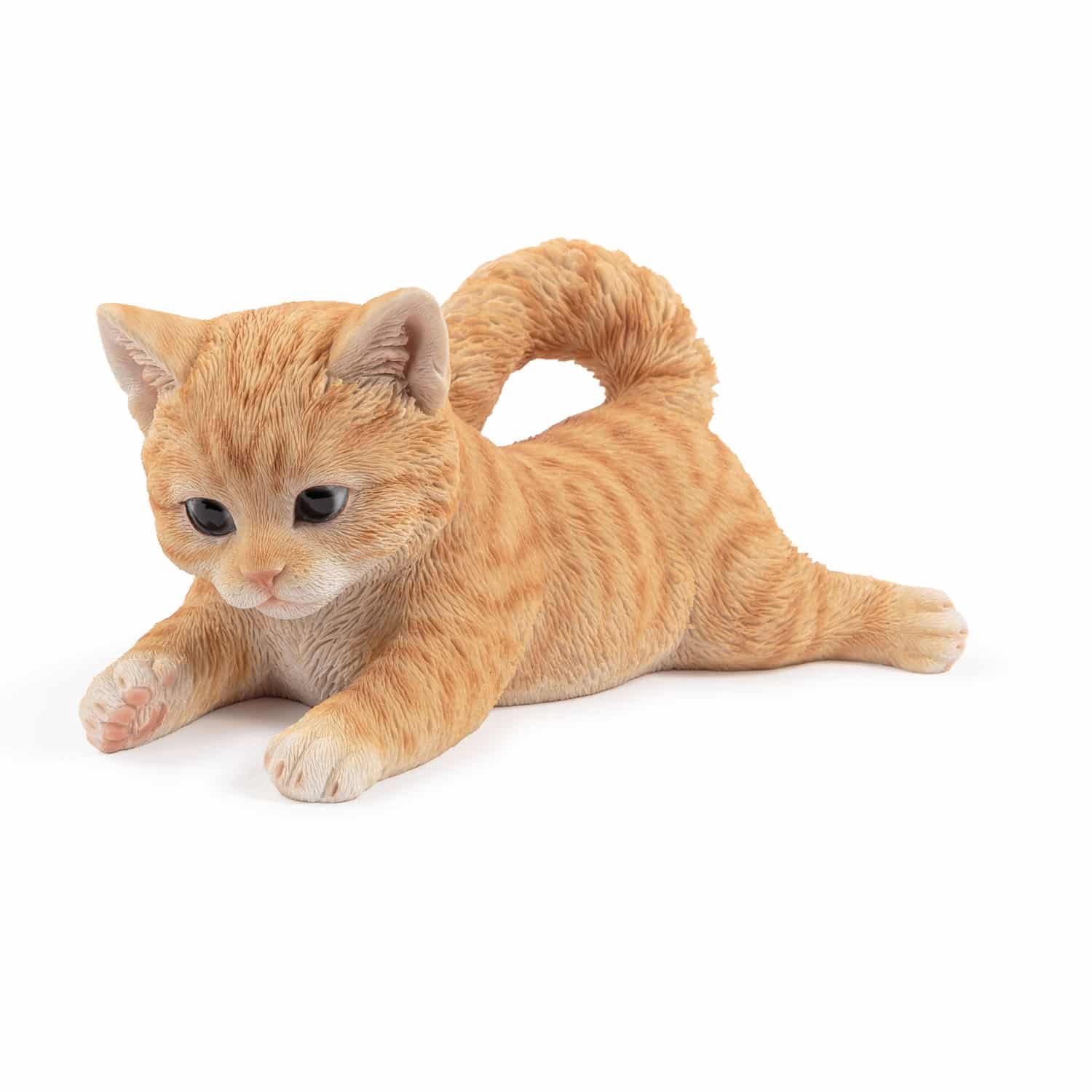 Laying Playful Kitten – Ginger