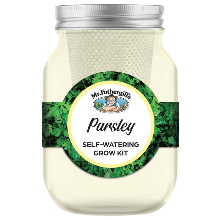 Self Watering Mason Jar Parsley