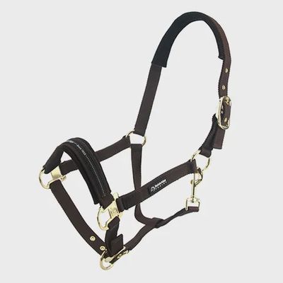 Bainbridge Horse Halter Cob
