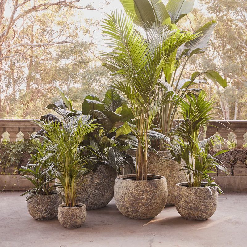 Mega Belly Pot Atlantic Green