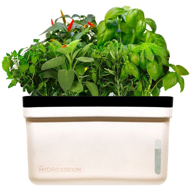 Hydro Station Self-Watering Propagation Kit