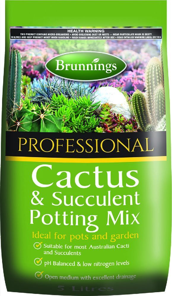 Cactus Succulent Potting Mix 5lt