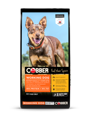 Cobber Working Dog 20kg