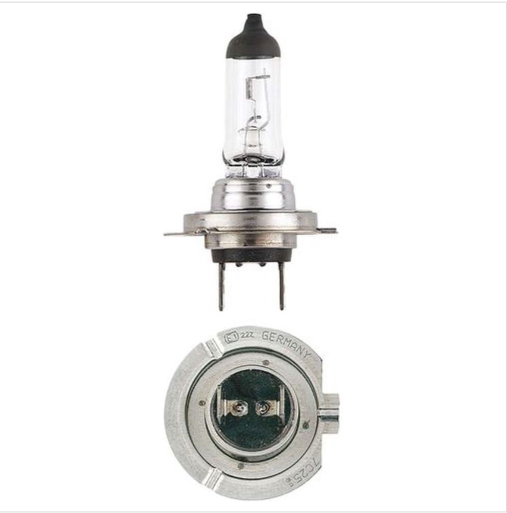 Globe H7 12v 55w halogen