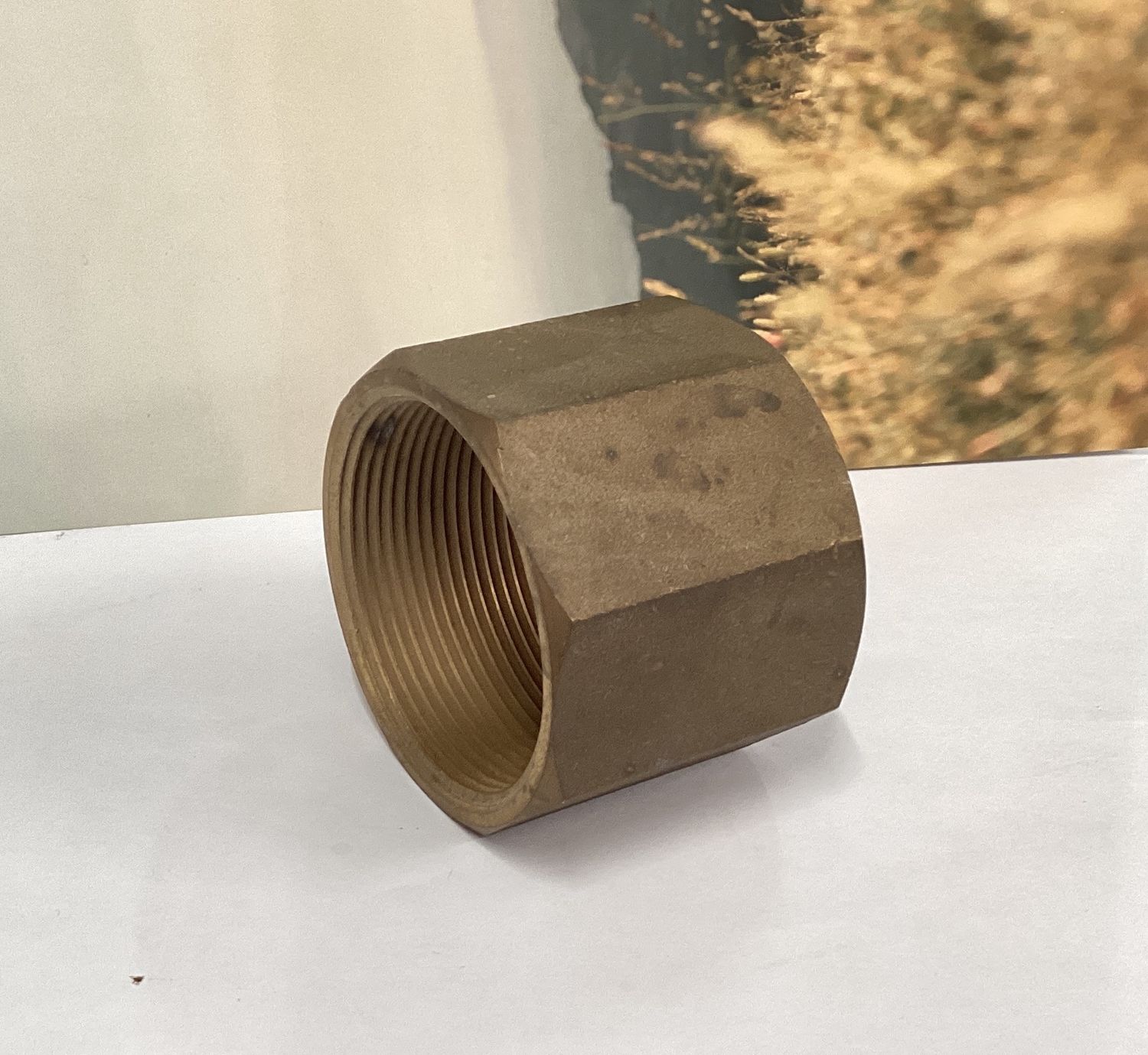 Brass socket 2" BSP