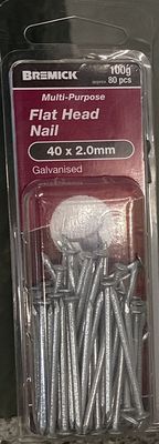 Nails Flat head 20x2.0mm pk80 Galv