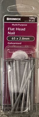 Nails Flat Hd 65x2.8mm Pk32 Galv