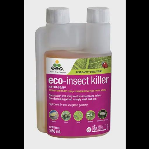 OCP Eco-Oil Insect Killer Concentrate 250ml