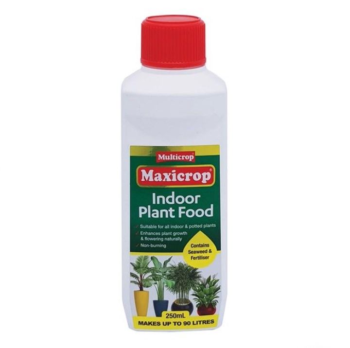 Indoor Plant Food Conc 250ml