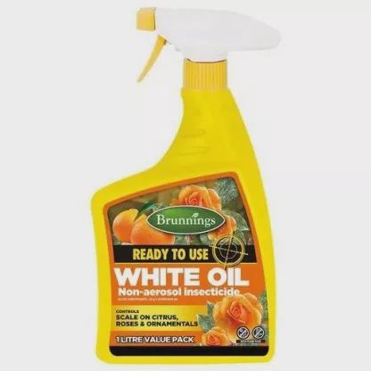 White Oil 1L RTU Spray Bottle