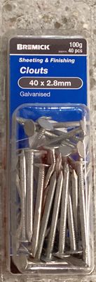 Nails Clout 40x2.8mm Pk40 Galv