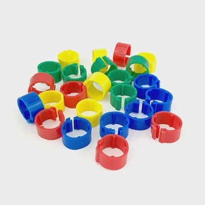 Poultry Leg Rings 12mm / 24pk - Mixed Colours