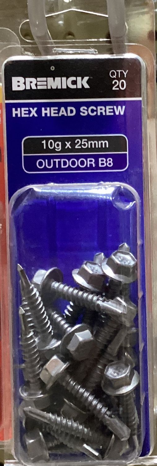 Tec screw 10gx25mm Pk20