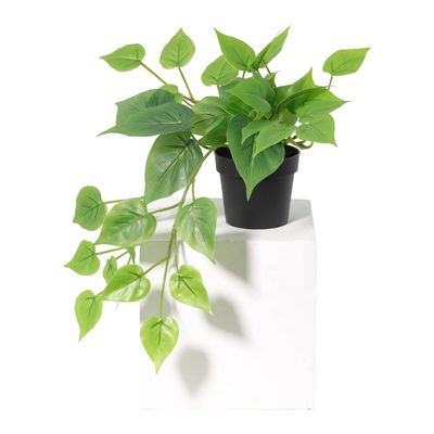 35cm Potted Artificial Hanging Pothos