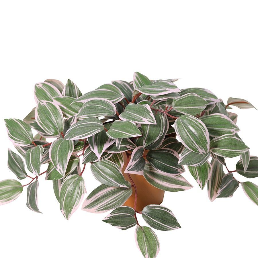 25cm Potted Artificial Wandering Dude