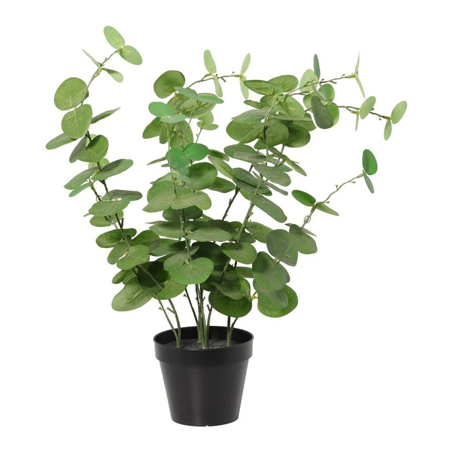 48cm Potted Artificial Eucalyptus