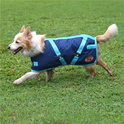 Thermo Master Supreme Dog Coat
