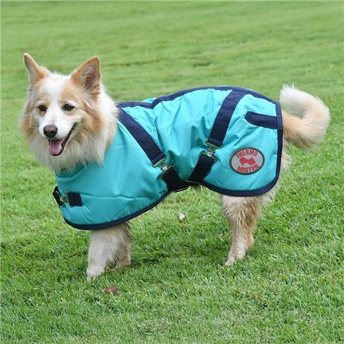 Thermo Master Supreme Dog Coat, Colour: Teal/Navy, size: 10"/25cm