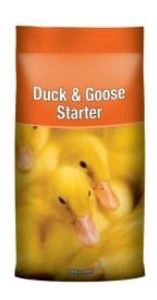 Duck &amp; Goose Starter