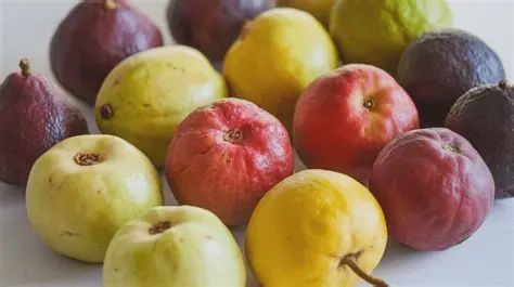 Strawberry Gauva 140mm