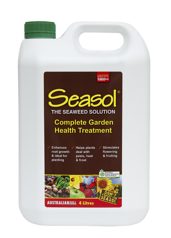 Seasol Concentrate 4L