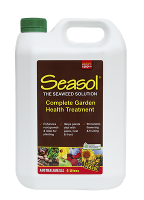 Seasol Concentrate 4L