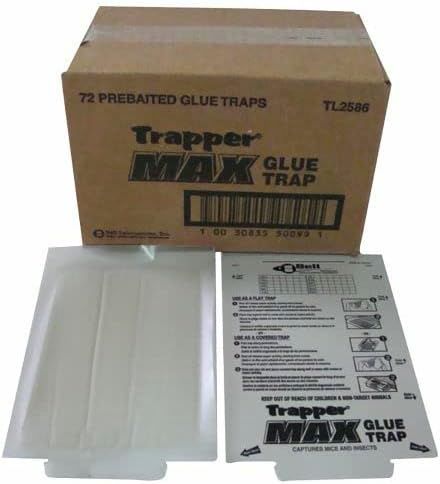 Trapper Mac Glue Board / Whole Box 72pc