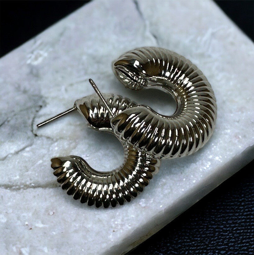 Orecchini Soul silver