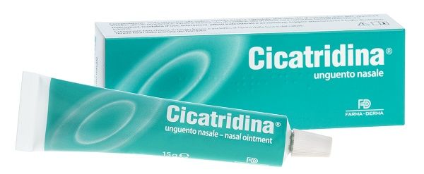CICATRIDINA UNGUENTO NAS 15G