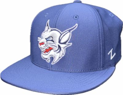 STU Official 3D EMB BB Hat