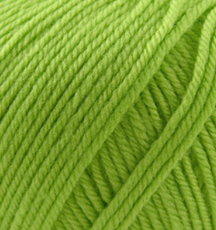 220 Superwash Wasabi 887