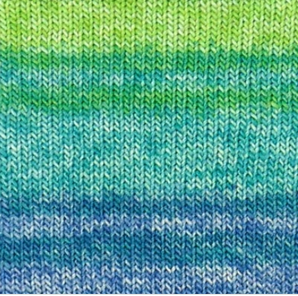 Evolution Sock Lake