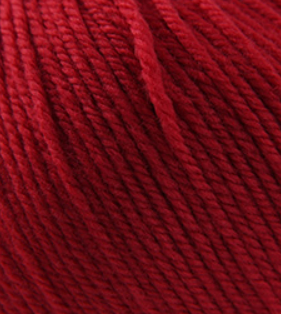 220 Superwash Really Red 809