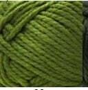 Pacific Bulky Cactus 33