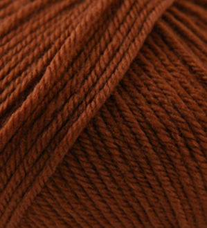 220 Superwash Dark Ginger 858