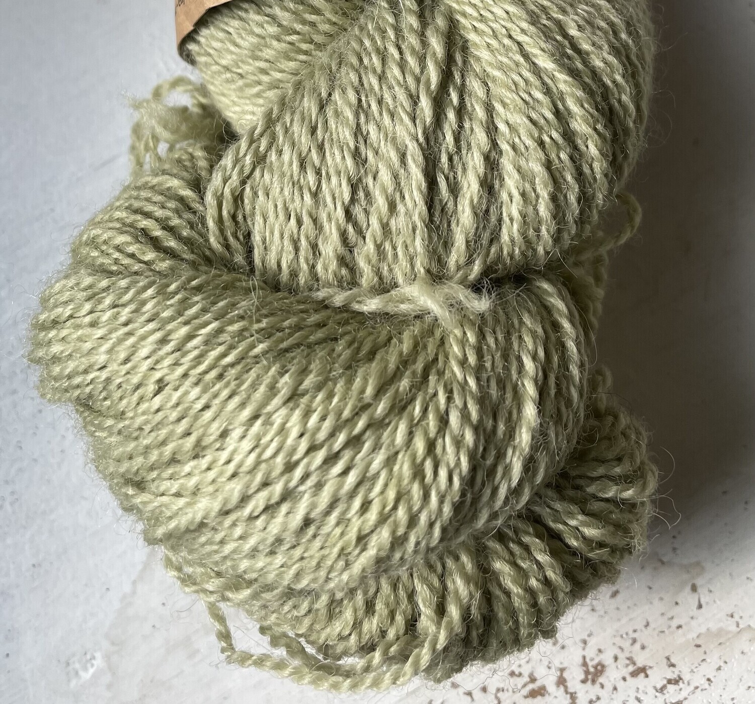 BFL Fingering Forest Floor