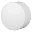 LESSO PVC DWV 4&quot; SLIP CAP