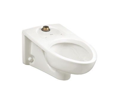Afwall Millenium FloWise Elongated Flushometer Toilet Bowl, White
