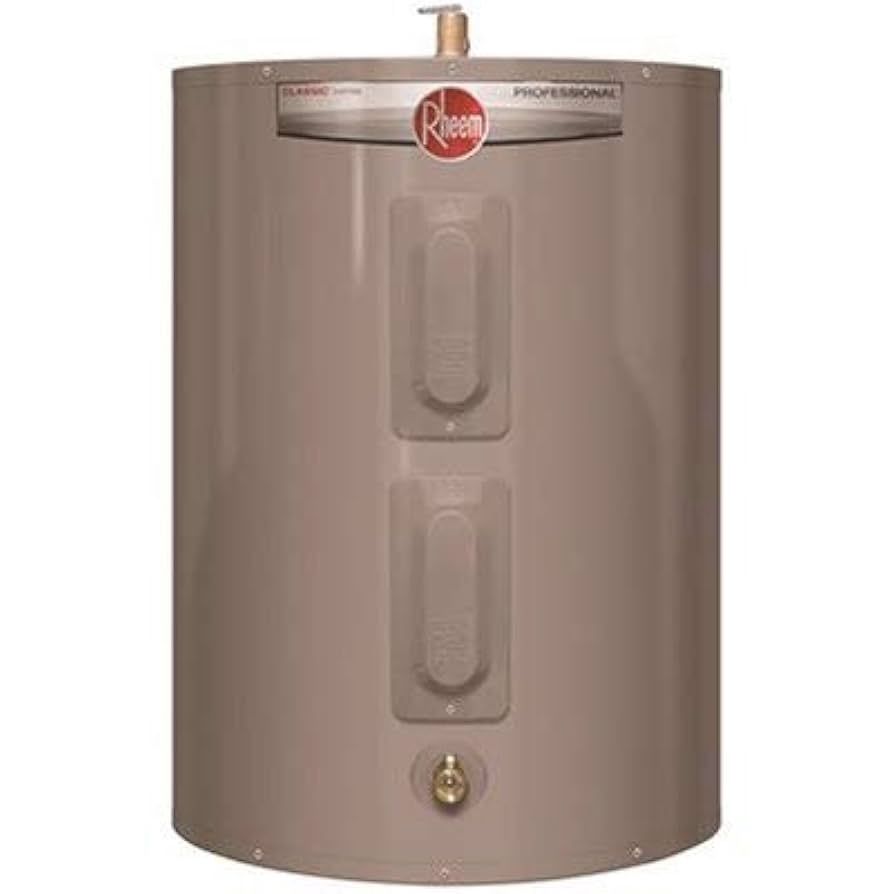 Performance 28 Gal. Short 4500-Watt Double Element Electric Water Heater with 6-Year Warranty